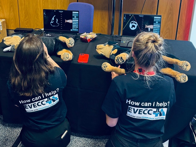 Deepscope mannequin simulator in action with trainees