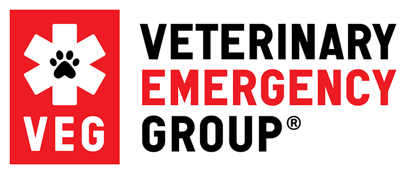 Veterinary Emergency Group